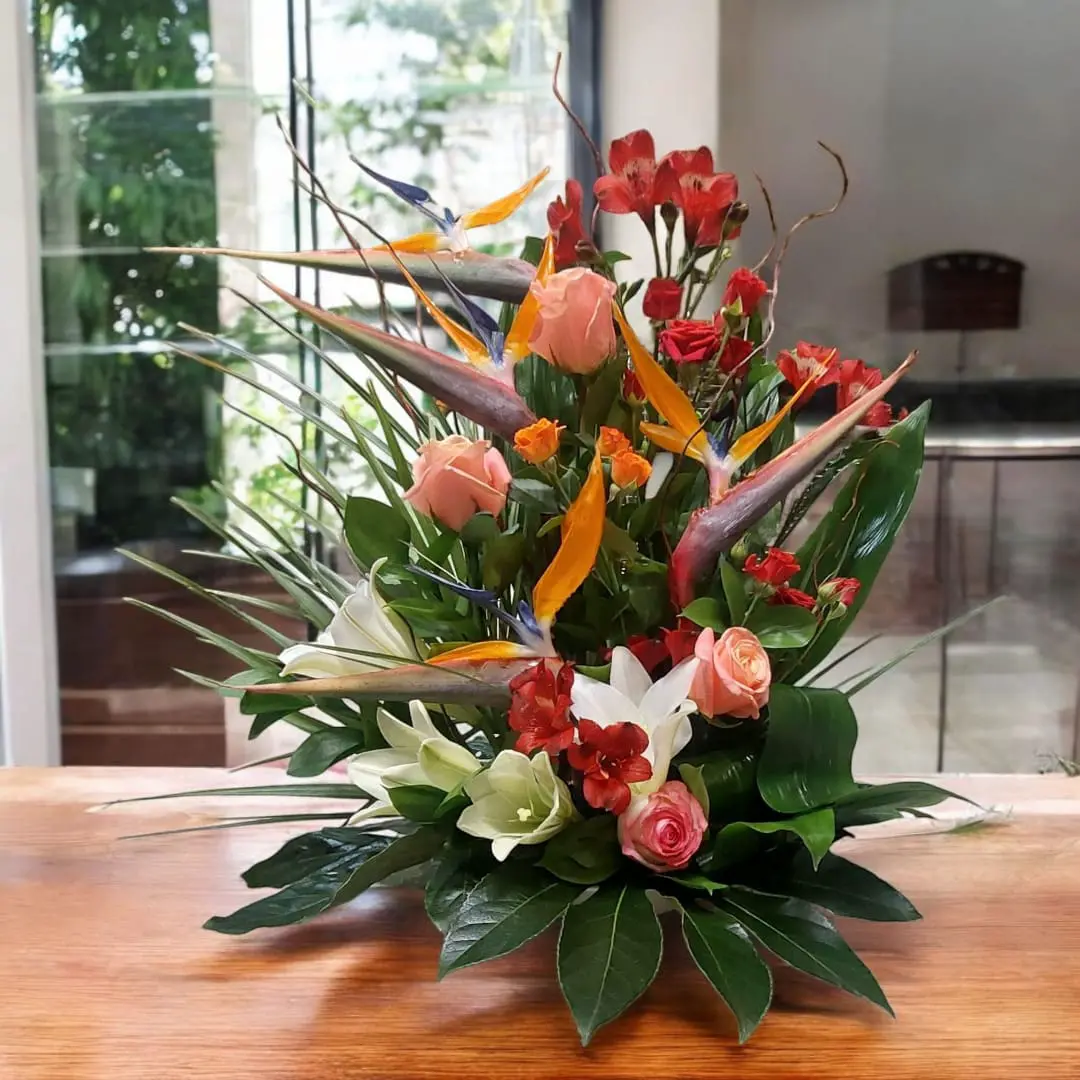 Tropical Elegance