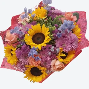 קרני שמש - image 1