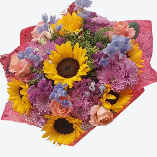 קרני שמש - image 1