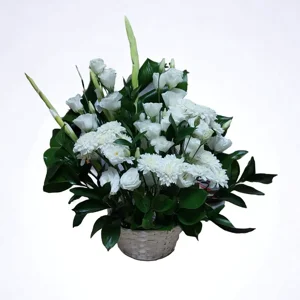 Snow Symphony - image 1