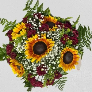 Sunlight Harmony - image 1