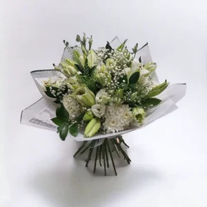 Gentle Radiance - image 1