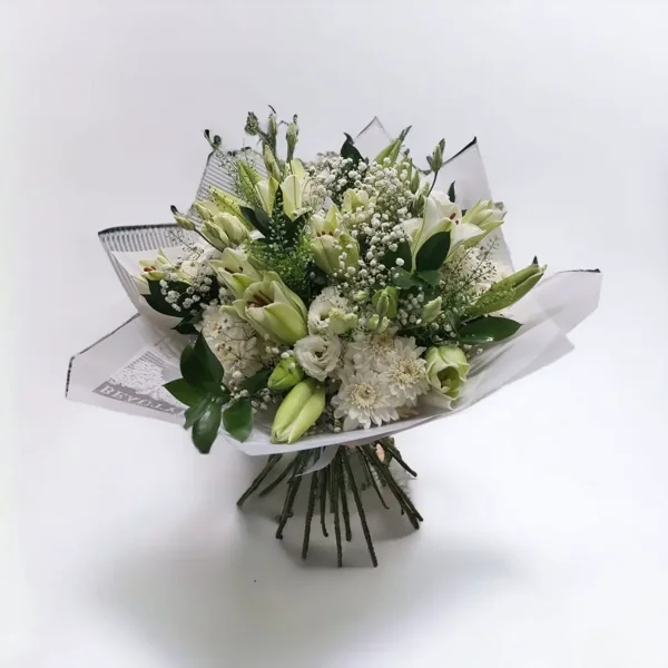 Gentle Radiance - image 1