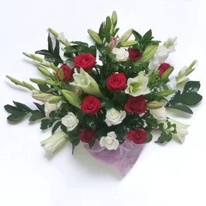 הרמוניה אלגנטית - image 1