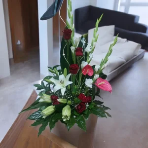 אלגנטיות של קווים - image 1